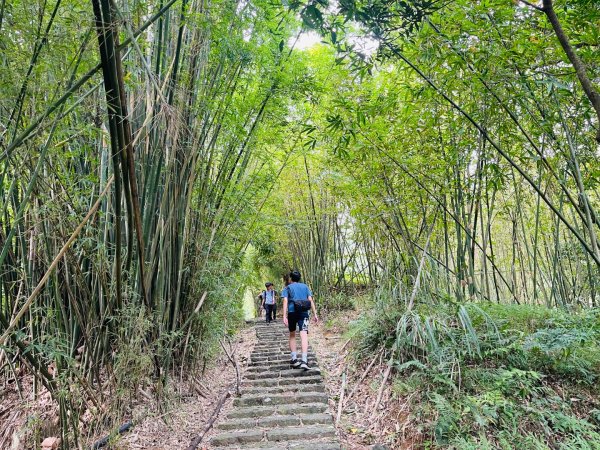1140926坪頂古圳親山步道2895470