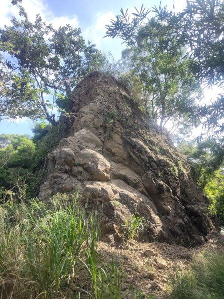 山海圳【大圳之路：第二段鳥山嶺水我古道 ⮕東3124360