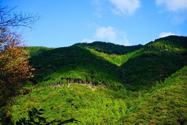 四國遍路88寺朝聖+熊野古道PART1867543