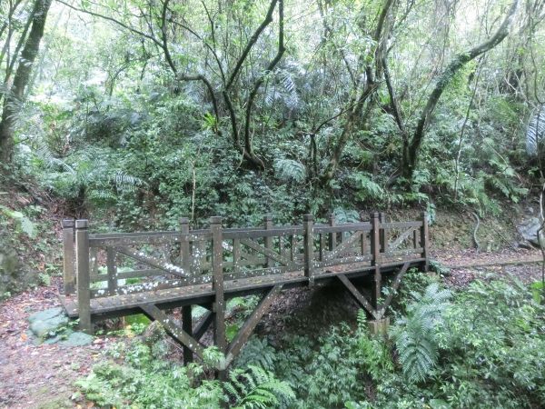 千島湖．八卦茶園．永安景觀步道162658