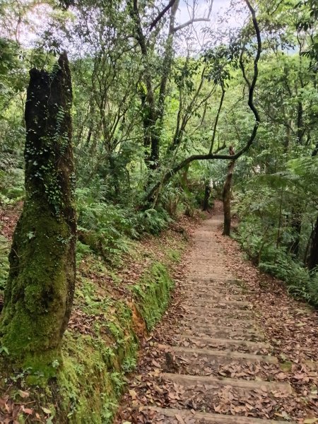 平溪區三功大厝+番子坑山+千階嶺步道O型2781198
