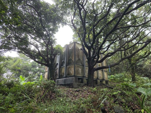 20260819九芎林山西北峰-主峰-土地公嶺3111501