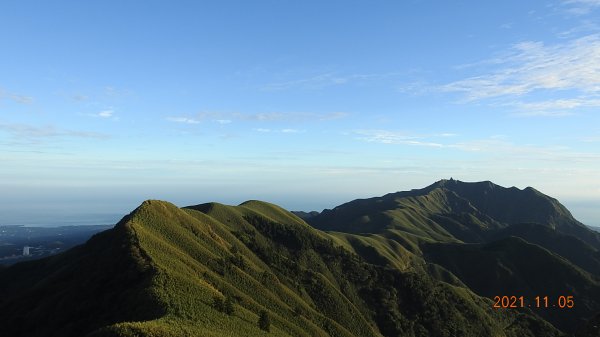 秋高氣爽芒花季 - 陽明山再見雲海1504055