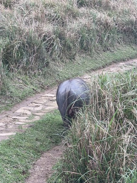 台北 士林 風櫃嘴3010308