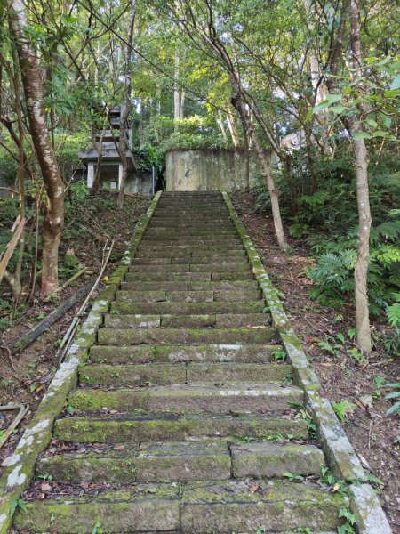 2024.11.29 騎龍山+騎龍古道2990393