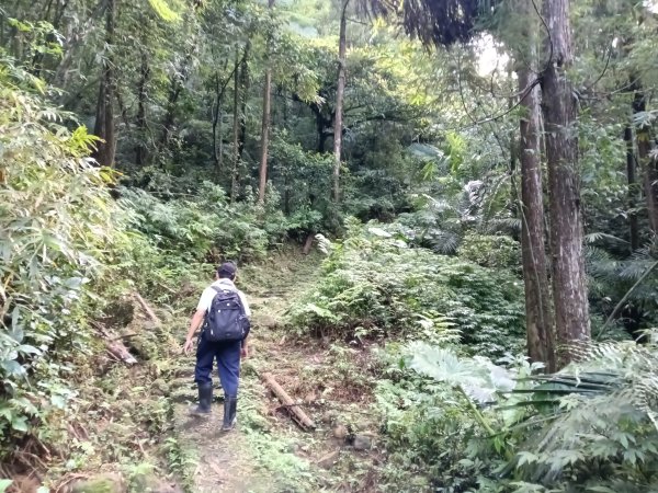 平溪區善覺寺步道+畝畝山北稜線+畝畝山+石硿子瀑布+灰窯瀑布O型2940011