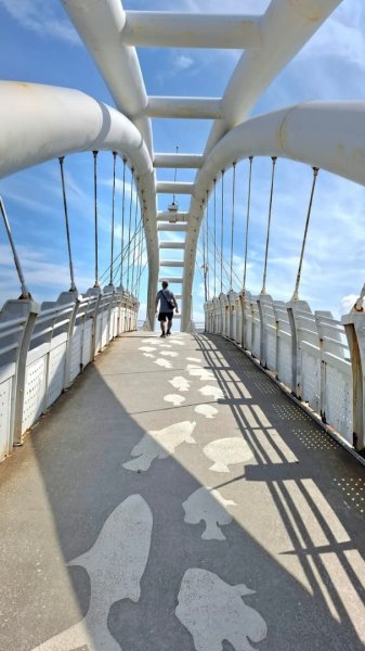 永安漁港商區2807701