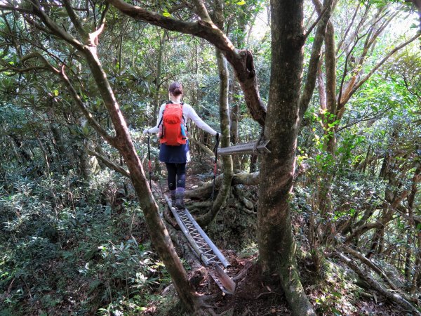 東眼山 拉卡山 卡外山 O形環走1630324