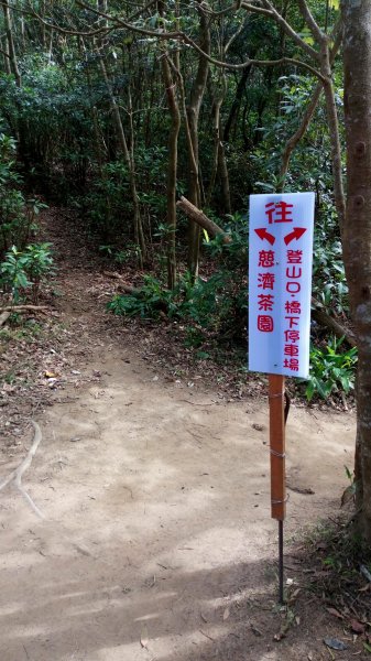 三義焱山，北鞍古道859339