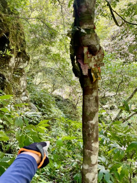 烏來阿玉溪山/西坑林道/探勘派出護管所彈藥庫遺址至獅坑橋2582022
