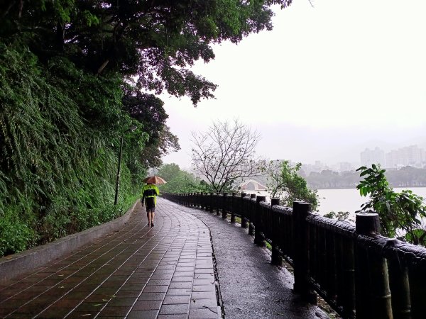 內湖大港墘公園、大湖公園 (防災公園) 【走路趣尋寶】1896641