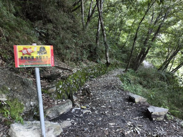 [玉山尋寶任務-07/12] 2025_0824 八通關雲龍瀑布步道2870467