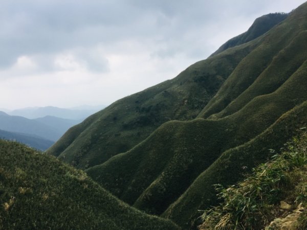 抹茶山上有草莓447947