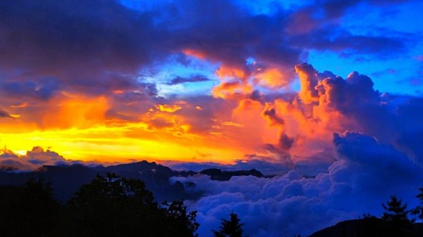 【阿里山私房景點】塔塔加夕陽下的彩霞691624