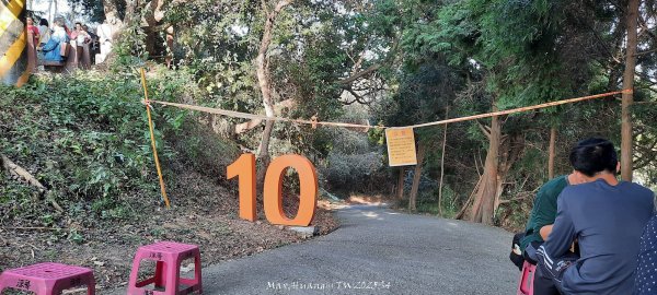 《台中》登山市集｜大坑9及9_1號步道上觀音亭202512202966549