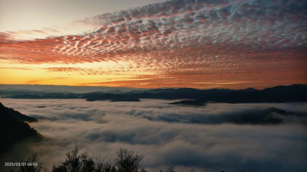 翡翠水庫壩頂 #曙光 #日出 #火燒雲 #斜射光(上帝光) #雲海 3/12722439