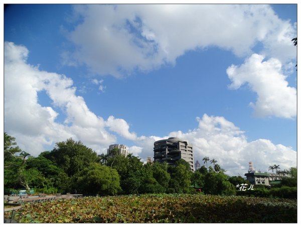 台北/植物園步道686766