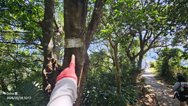 硬漢嶺大崩壁＆占山(尖山)連峰O走3071695