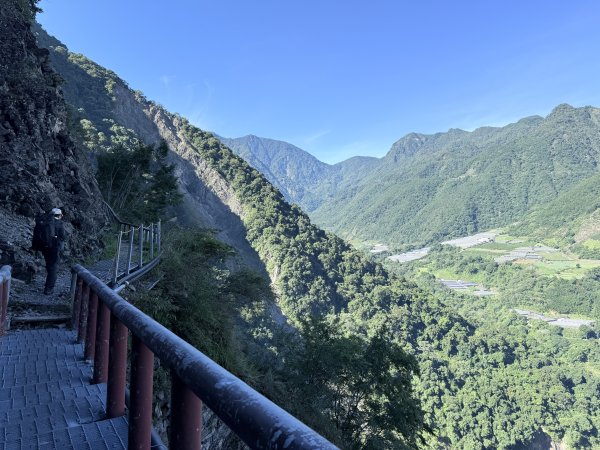 來去郡大坐龍貓公車順登對關山2822325