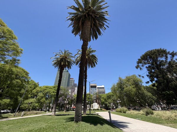 [紐約馬之行-58] 2025_1114 陸軍總部附近綠地2953826