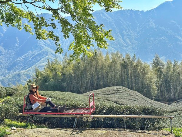 溪頭六連峰O繞2741777