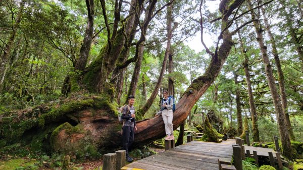 太平山森林遊樂區，檜木原始林步道，九寮溪自然步道，戈霸瀑布，開眼崙登山步道1859657