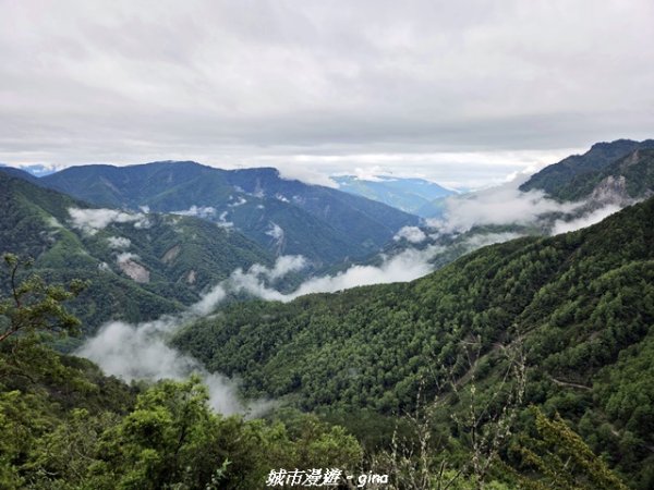 【南投信義】排雲山莊 x#15百岳_玉山西峰3111622