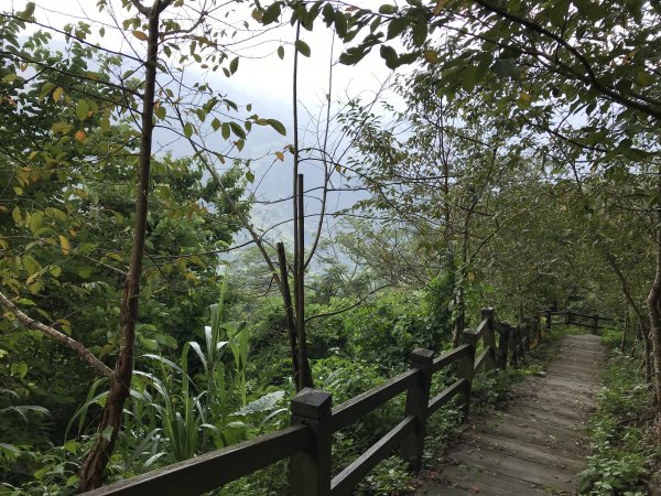 109年9月6日嘉義 獨立山步道1095620