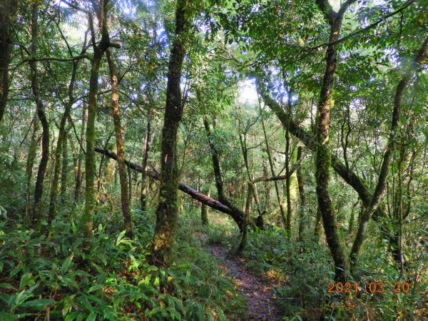 宜蘭 員山 阿玉山1313897