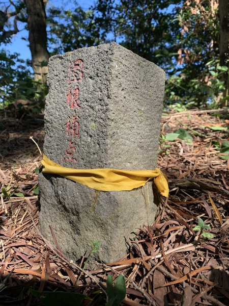 20240706屏東三地山西南峰2546715