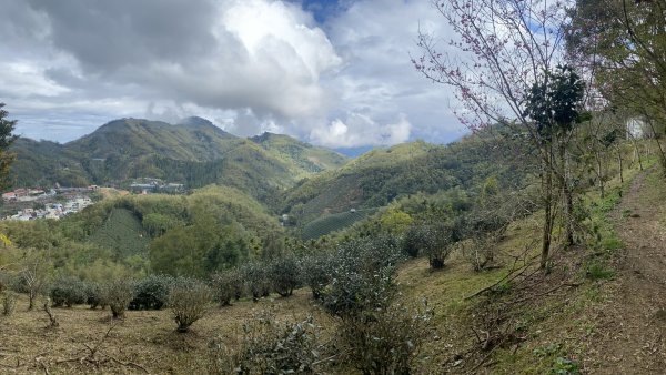 20250201孝子路步道、大巃頂2716423