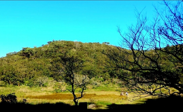 向天山 面天山 大屯山主峰82236