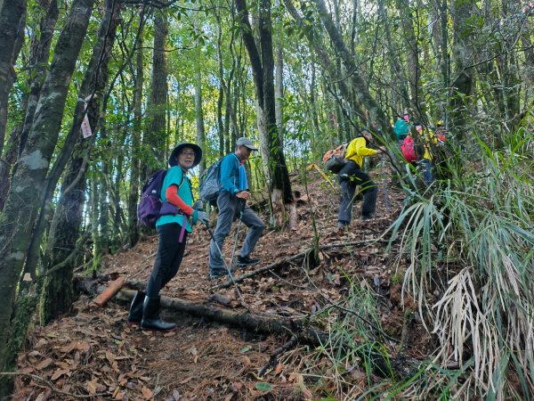 1120826 平多縱走（平岩山縱走多加屯山）2264047