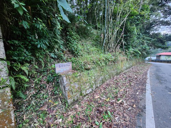 20260208五分寮頂山內大坪山石硬山O型3005232