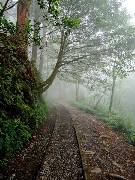 見晴懷古步道-(宜蘭)臺灣百大必訪步道2827756