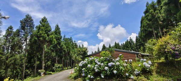 2025/06/22_民都有山登山步道2818034