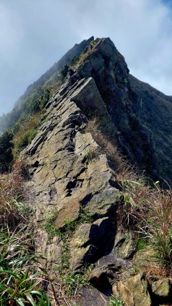 鋸齒稜直下半平大峭壁，讓人腎上腺素飆升的路線1915822