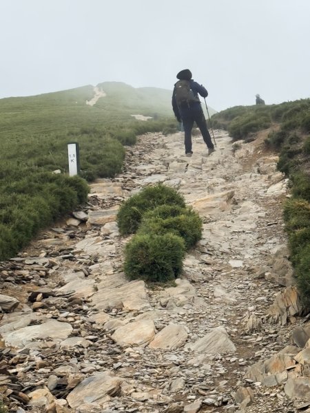 爬不膩的 合歡北峰2907043