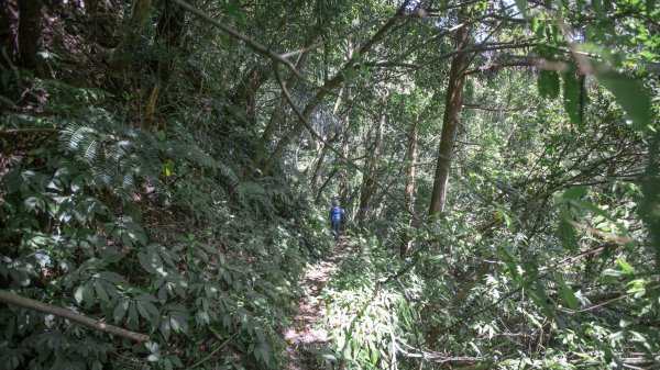 闊瀨古道-沿北勢溪谷而行的夏末之旅（淡蘭古道）2287636