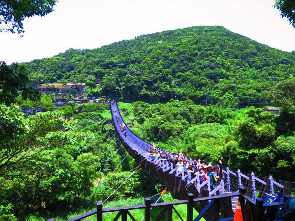 搭著捷運去旅行-白石湖賞花輕旅行610476