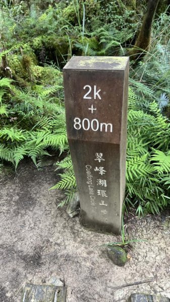 太平山翠峰湖環山步道2551620