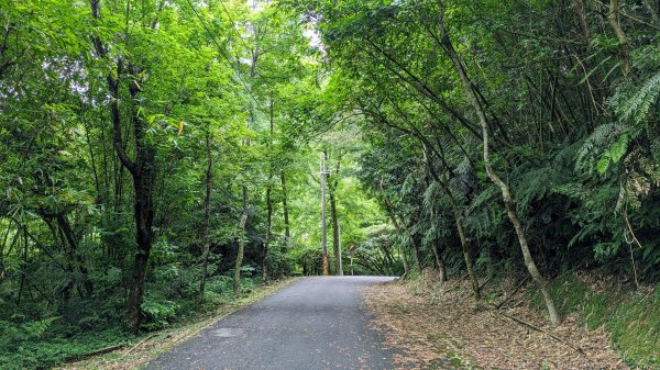 四分尾山,勤進路2515131