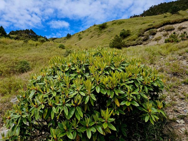 小奇萊步道-(南投)臺灣百大必訪步道2795667