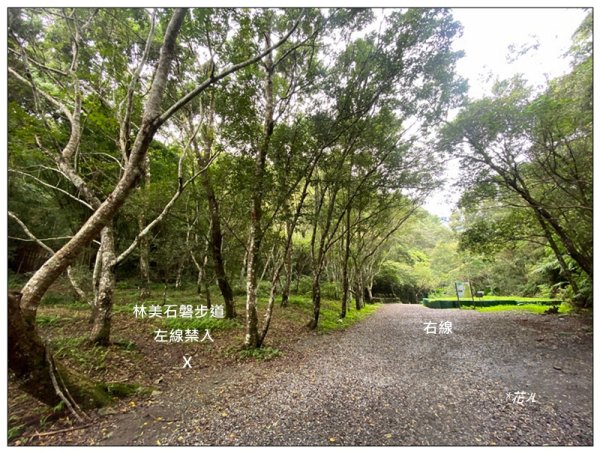 林美石磐步道3121275