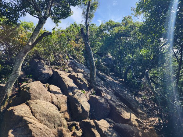 ⛰金劍縱走3055878