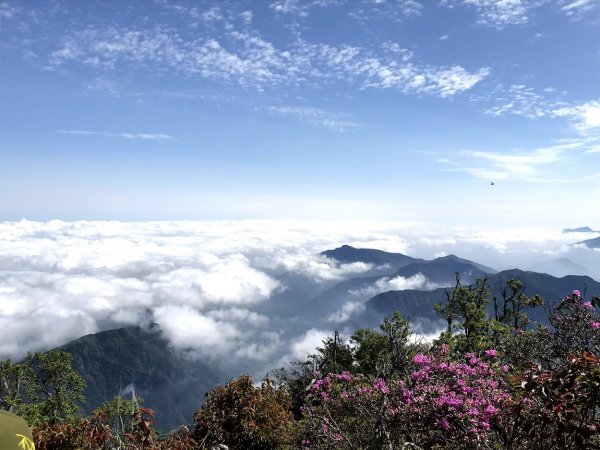 加里山杜鵑嶺P型走大坪登山口202005031965215