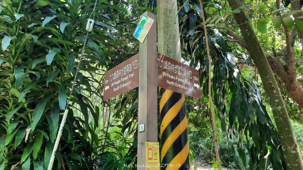 《南投》峰峰相連｜草屯九九峰森林步道O型202509062879235