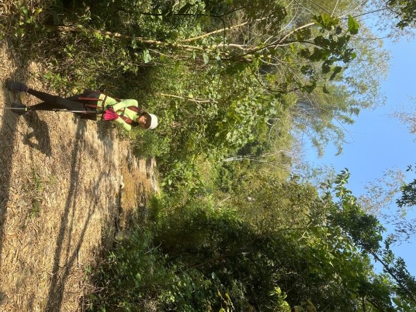 高雄美濃月光山2734906