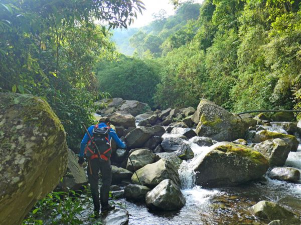 阿里山鄉神木之旅--拉拉喀斯1號神木及巨石神木348628