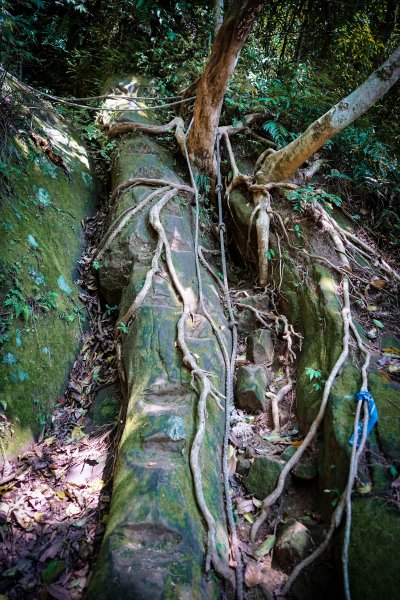 新竹關西鎮 石牛山938200